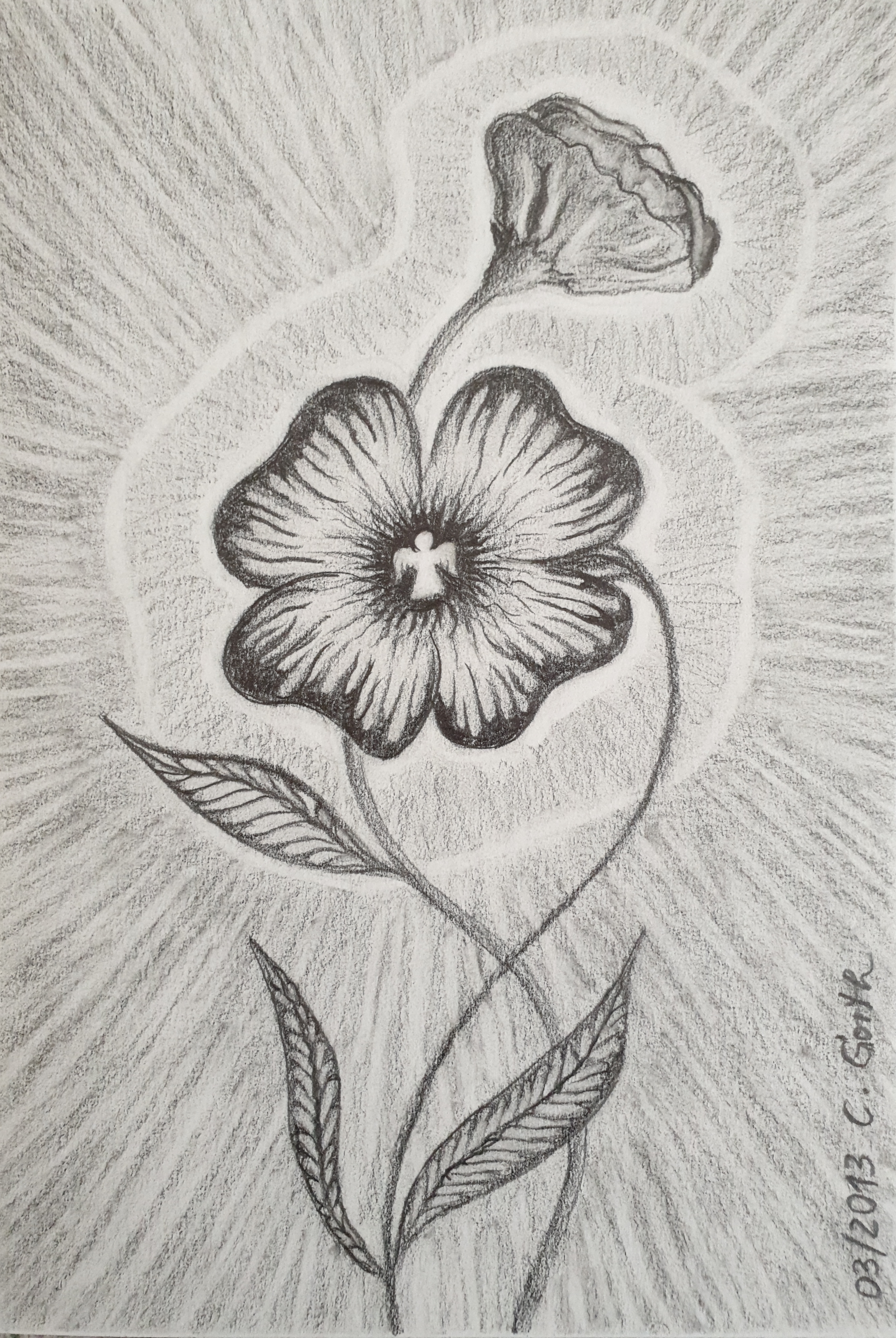 "Engelblume", Bleistiftzeichnung, 03/2013, ©Christine Gorth